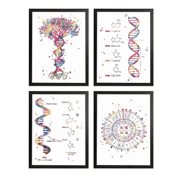 DNK Genetska Koda Akvarel Plakat Nastavite Drevo Urad Dekoracijo Znanost Wall Art Platno Slikarstvo Biologijo Krog Kemije, Genetike